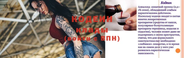 мдпв Инсар