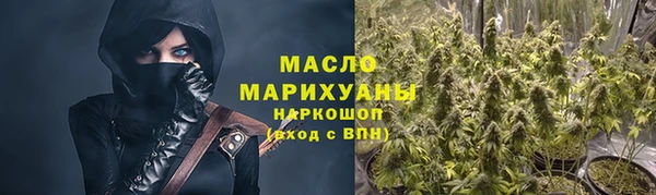 мдпв Инсар