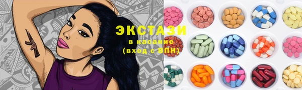 мдпв Инсар