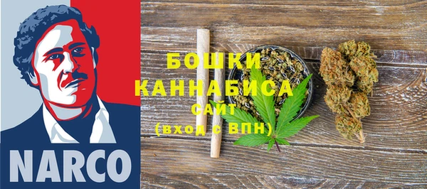 мдпв Инсар