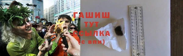 мдпв Инсар