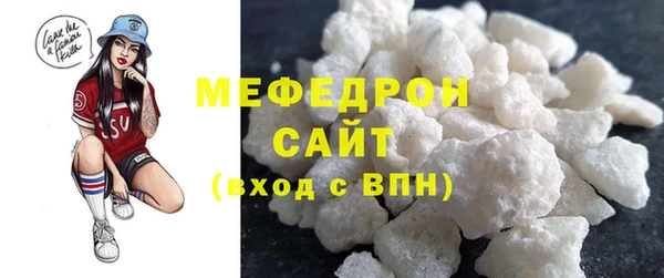 мдпв Инсар