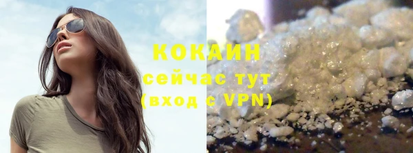 мдпв Инсар