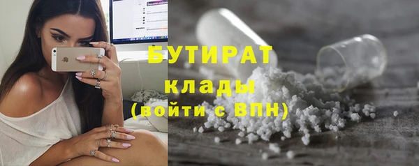 мдпв Инсар