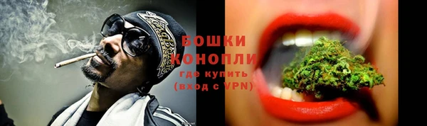 мдпв Инсар