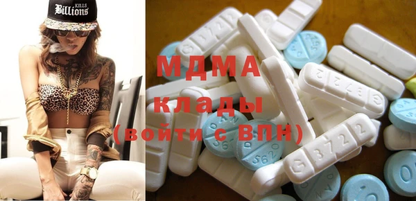мдпв Инсар